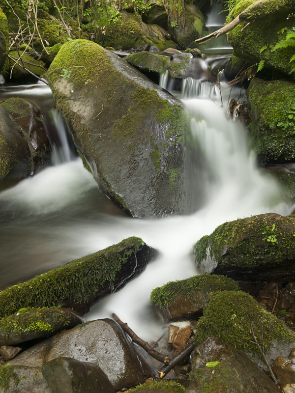 Pequeño salto de agua en la primera parte del recorrido